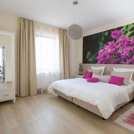 Villa Renatus Obernburg am Main Dış mekan fotoğraf
